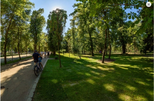 Parcul Central nu mai este considerat spațiu verde. O lege care dă liber la betonarea parcurilor a fost adoptată